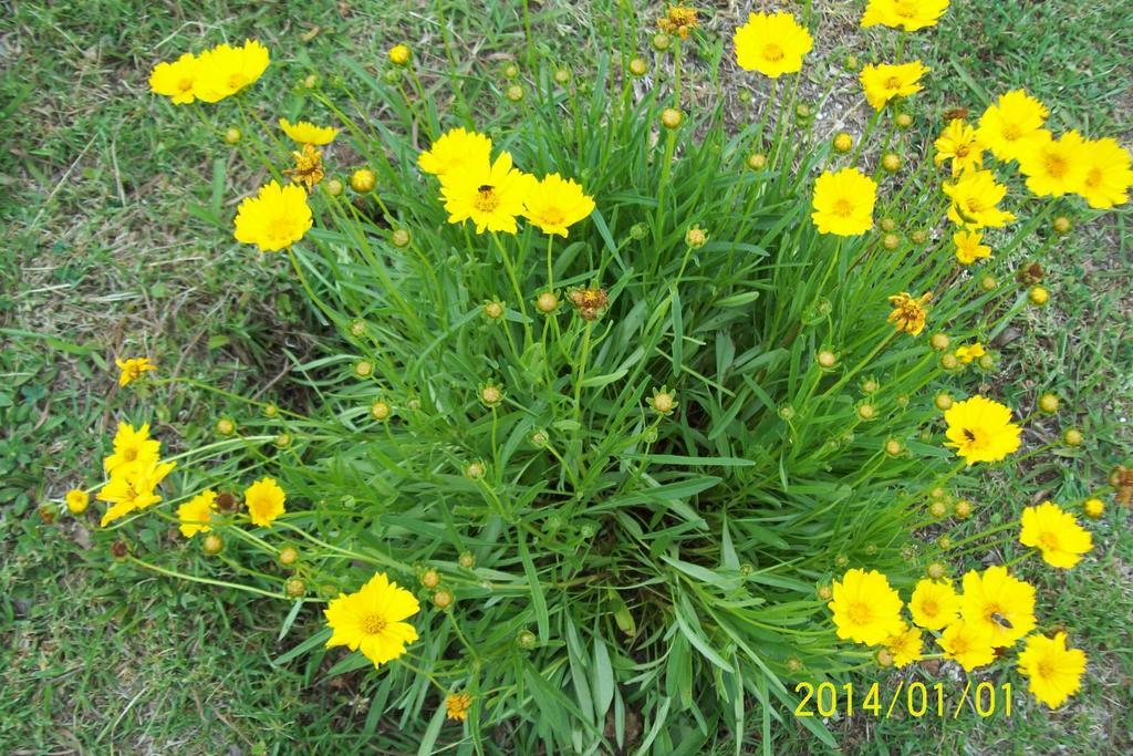 Chales Canto Dos Passaros Monte Verde  Εξωτερικό φωτογραφία